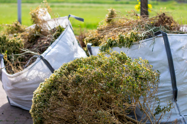 Best Commercial Junk Removal  in Mount Olive, MS